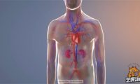 人体组织缝合过程三维动画视频